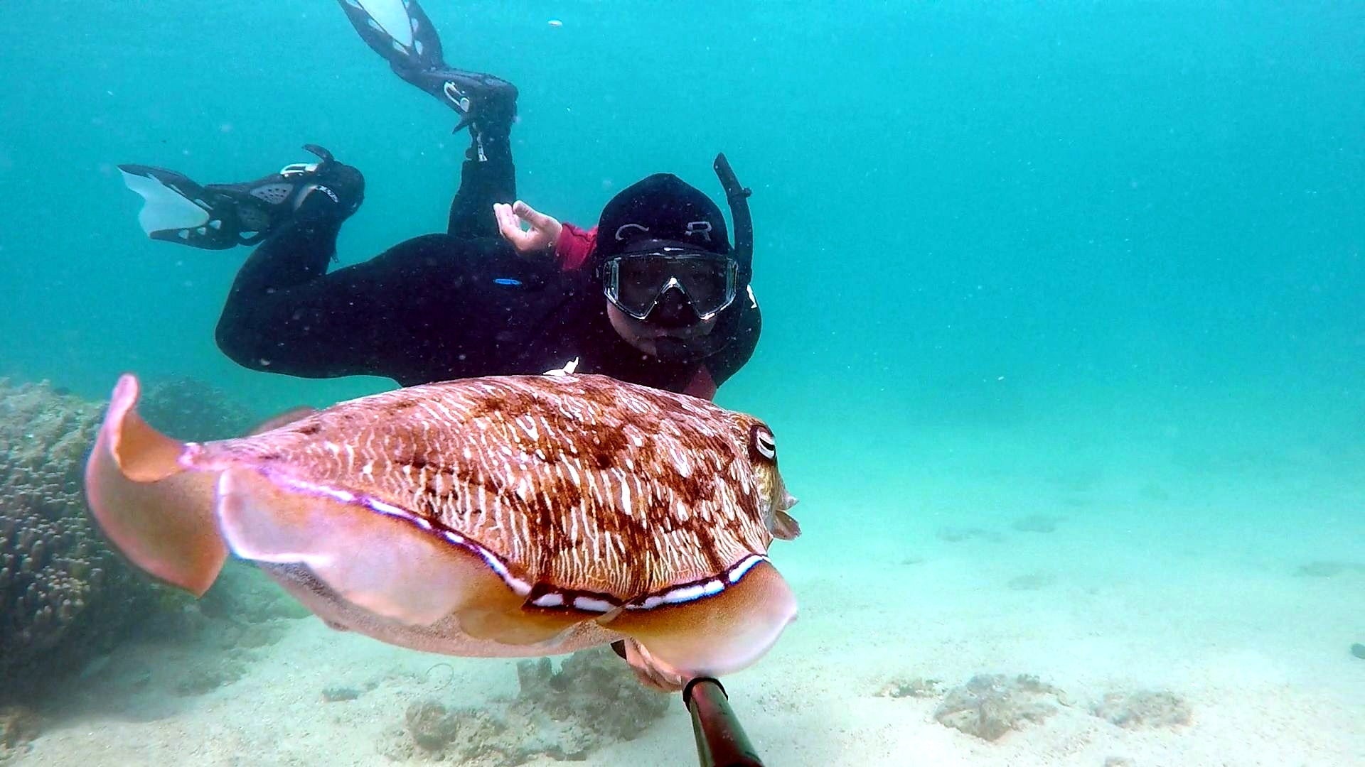 مدرسه غواصی ابوموسی