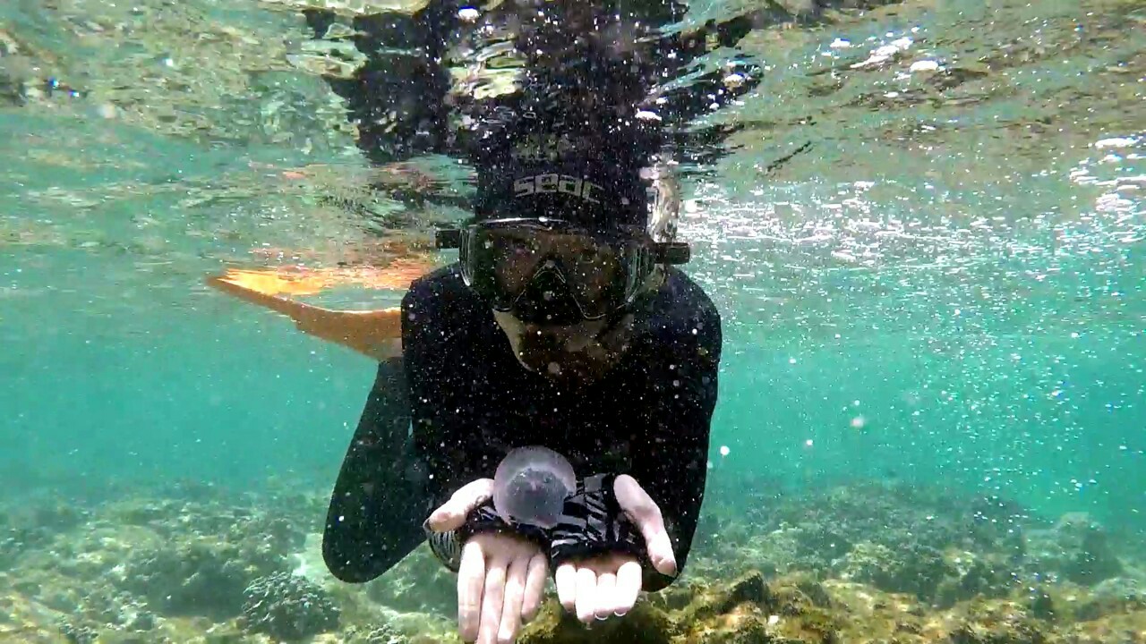 دیانا عظیمی نژاد